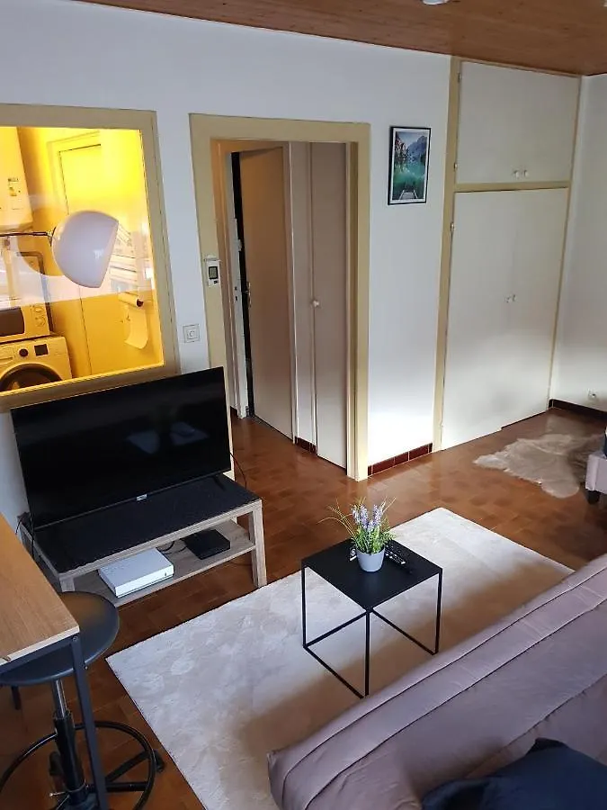 Vue Montagne Studio: Résidence Privée avec Cuisine et Parking Marnaz